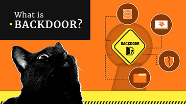 What is a Backdoor in Cybersecurity?