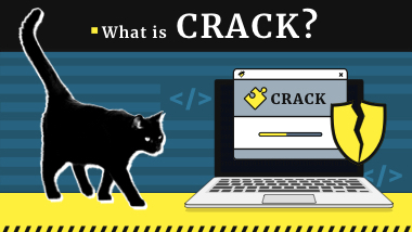 Software Cracking