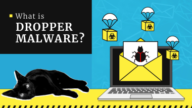 What is Trojan Dropper?