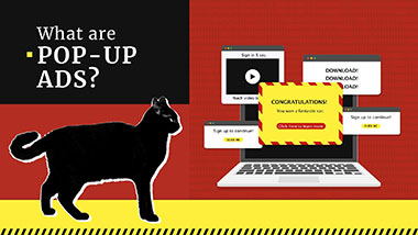 What is a Pop-Up