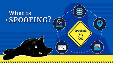 Spoofing Definition