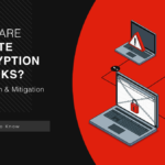 What Are Remote Encryption Attacks?