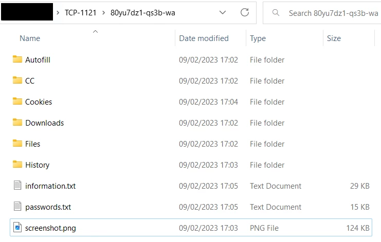 Data exfiltrated by Vidar, ready to be packed and sent